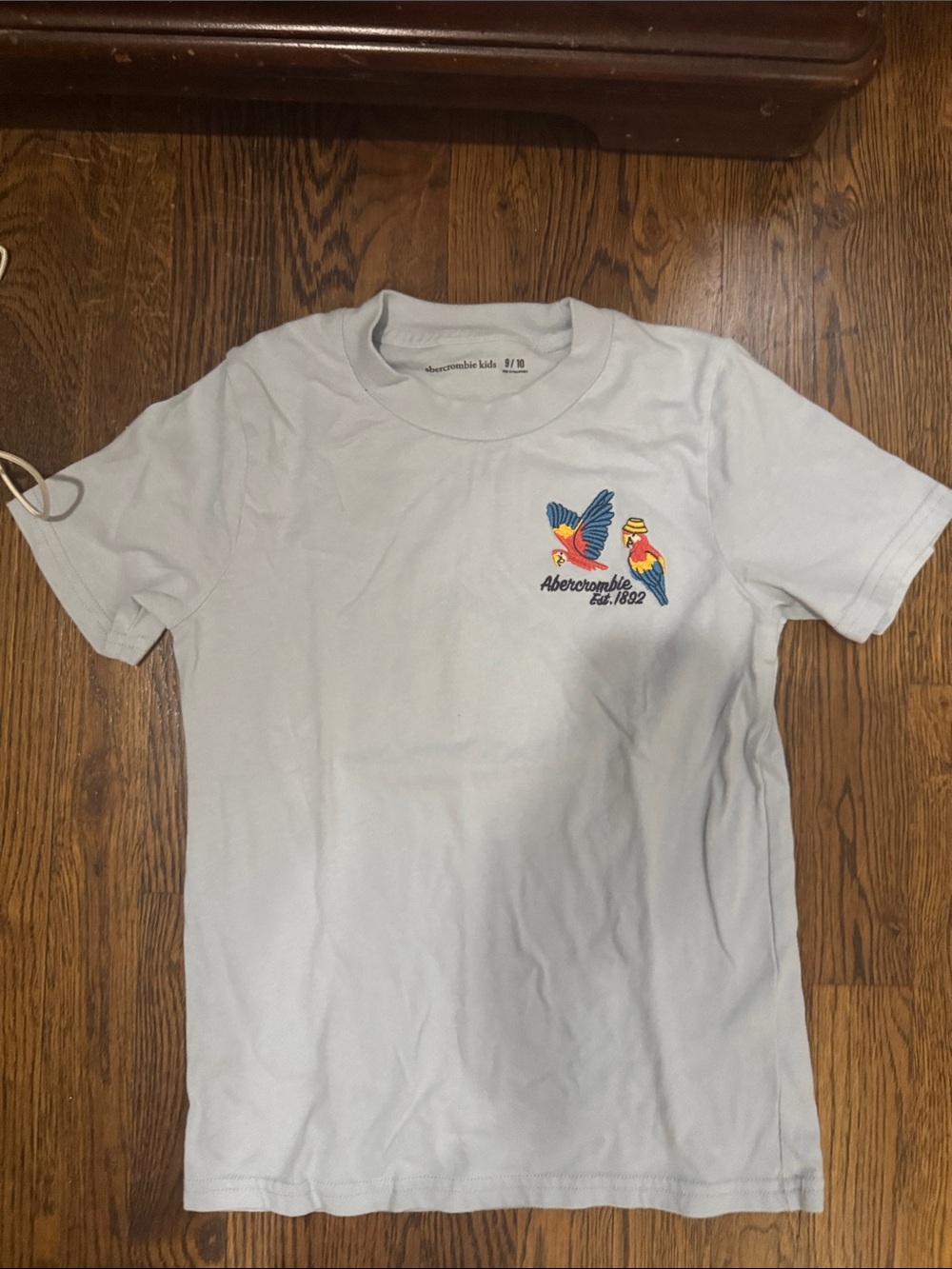 abercrombie kids Light Blue Tee with Colorful Parrot Embroidery